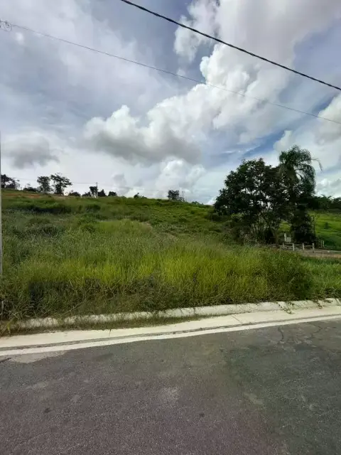 Lote à venda, Monte Carlo